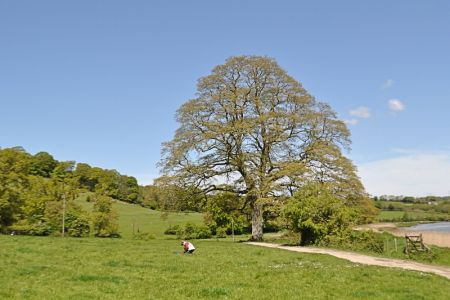 pillie castle 011a.jpg