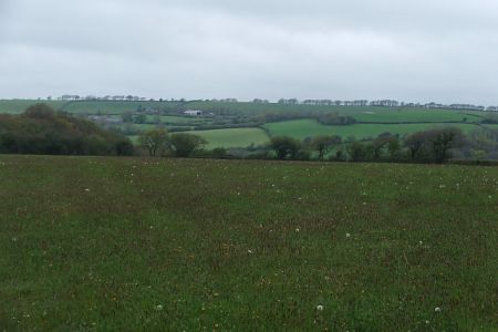 DSCF2154.JPG