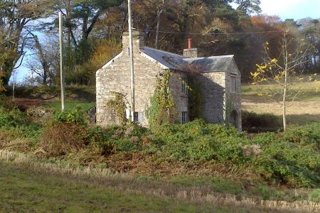 DSC_0019.jpg