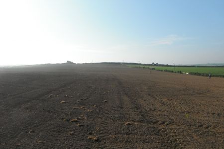 DSCF2313.JPG