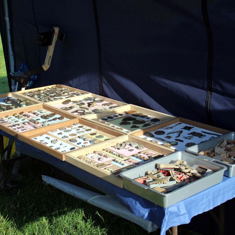 Liskeard Show 2013
